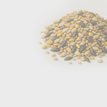 ПРОЕКТ МЕСЯЦА. ТРУДОВОЙ ДЕСАНТ