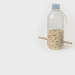 ПРОЕКТ МЕСЯЦА. КОРМУШКА ДЛЯ ПТИЦ