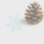 Угощение для птиц