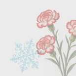 Говорим о красоте