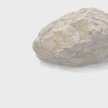 Притча «Потому что я — человек»