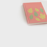 В.П. Катаев «Цветик-семицветик»