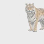 Проект года. Карта месяца «Заповедные места России»