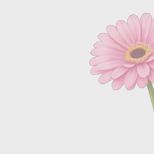 Сеем семена цветов