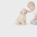 Секрет апреля «Как помочь ребенку подружиться с домашним питомцем»